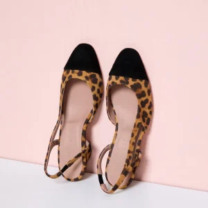 Zapato Bri Bri Animal Print