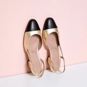 Zapato Bri Bri