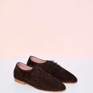 Zapato Cordones Ritmo
